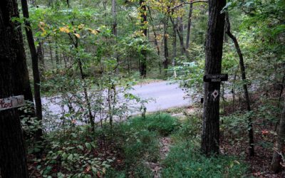 Red Cedar Trail – Giant City State Park – Backpacking Guide