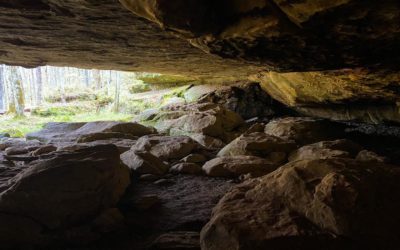 Hiking with Shawn’s Trail Guide Series: Secret Canyon Loop