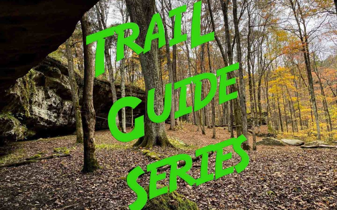 New Feature Announcement: Trail Guide Series!