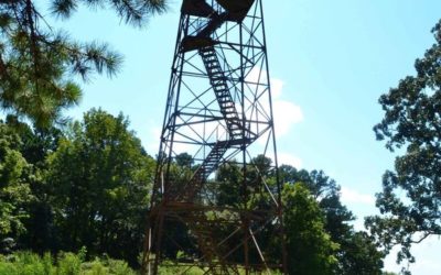 Hiking with Shawn’s Trail Guide Series: Trigg Observation Tower