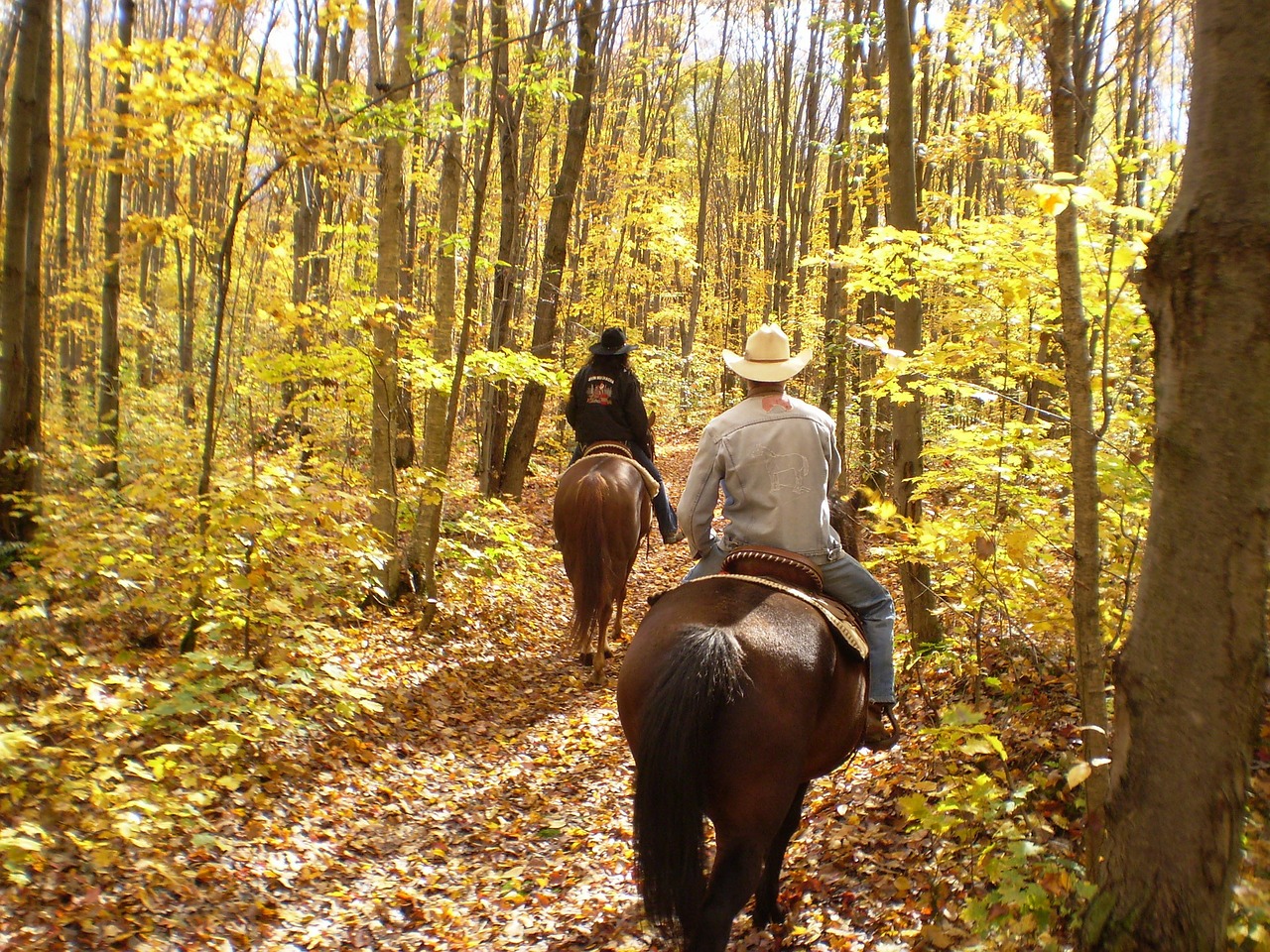 Campgrounds with horseback riding near me hotsell