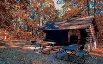 Trail of Tears State Forest Campground Review