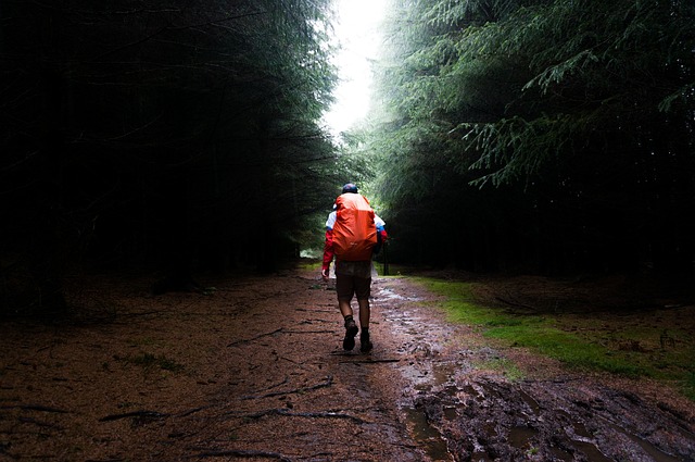 How to go Hiking in the Rain