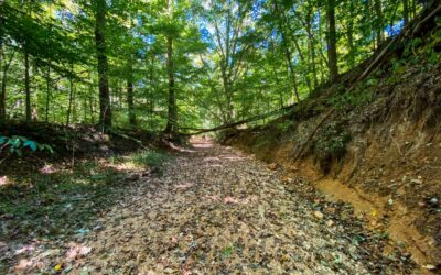 10 Strenuous Hikes in the Shawnee National Forest