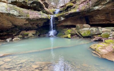 What are the Best Hiking Trails Nearby in Southern Illinois?