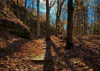 Hiking Trail in the Forest