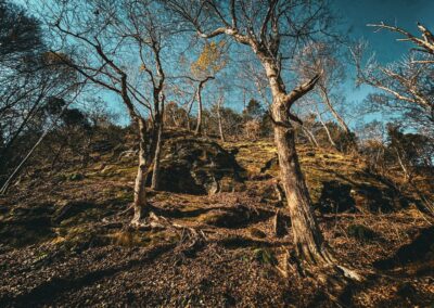 Round Bluff Trail