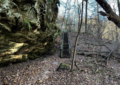 Stairs in the Forest