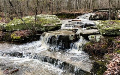 10 Great Things About the Shawnee National Forest