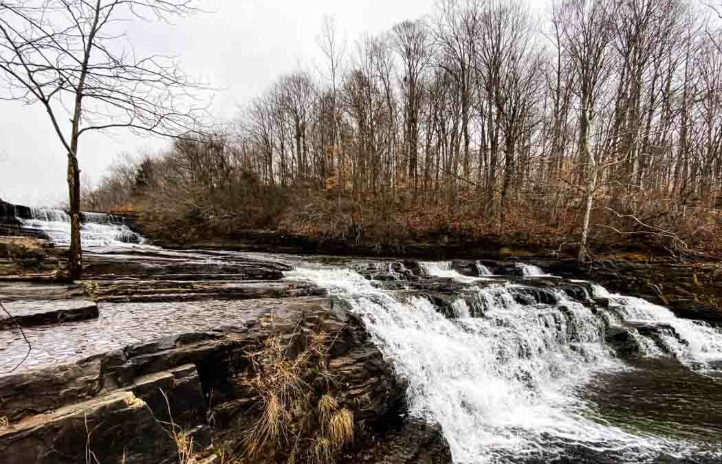 10 Scenic Easy Senior Hikes in Southern Illinois