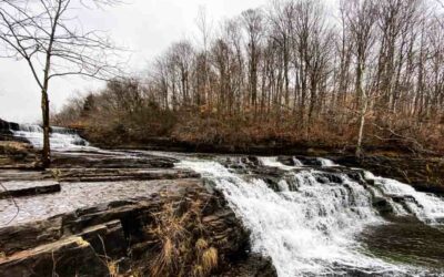 10 Scenic Easy Senior Hikes in Southern Illinois