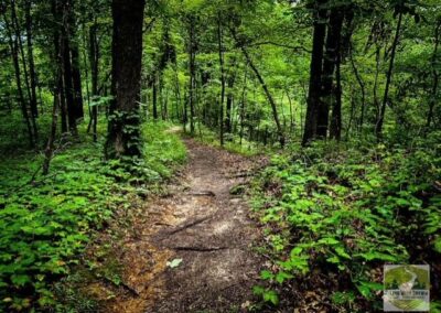 East Peewah Loop Trail Path