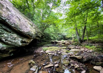 Happy Hollow Trail Creek