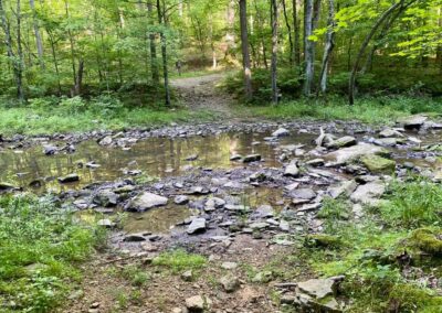 Happy Hollow Creek Crossing