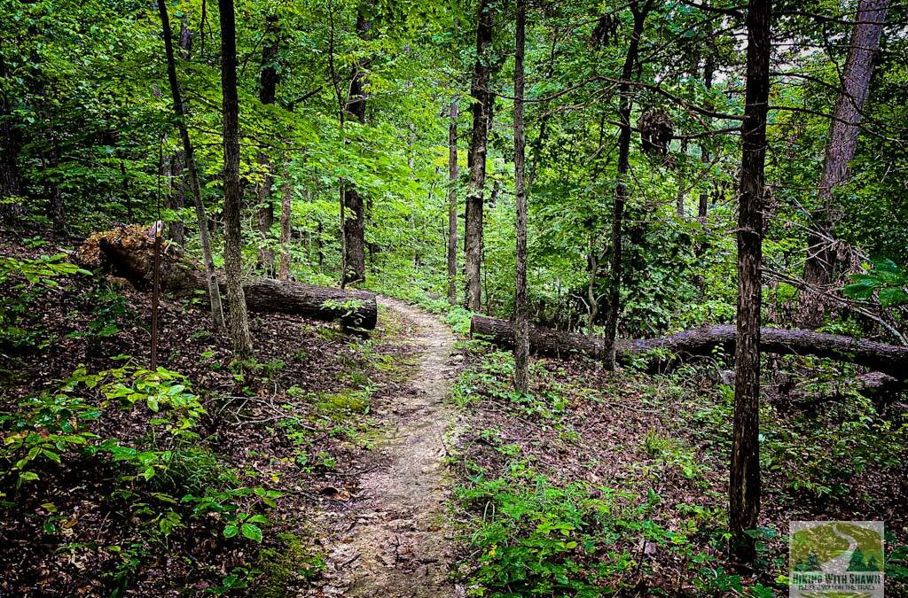 Shepard Point Trail Guide