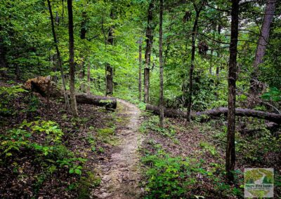 Shepard Point Trail