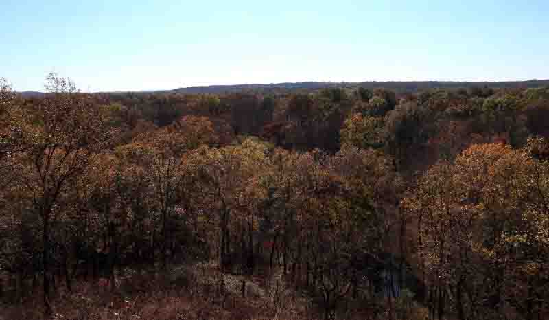 Wildcat Bluff Overlook