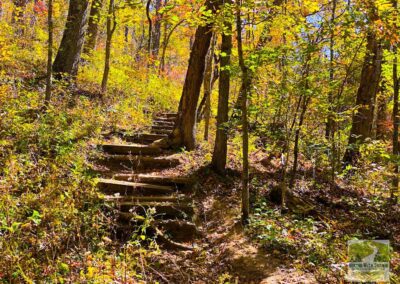 Mooner's Hollow Hiking