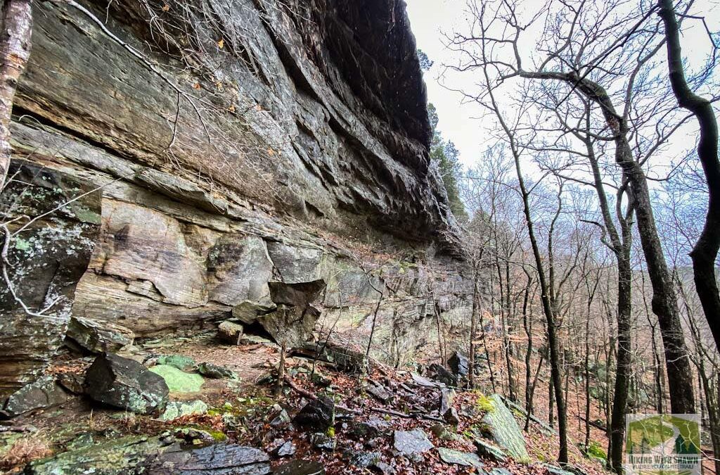 Hiking to the Bottom of Owl Bluff in Lusk Creek Wilderness