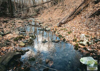 Little Eagle Creek