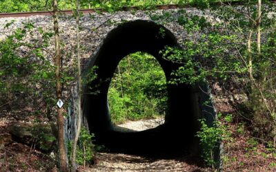 10 Great Shawnee National Forest Hiking Trails on All Trails