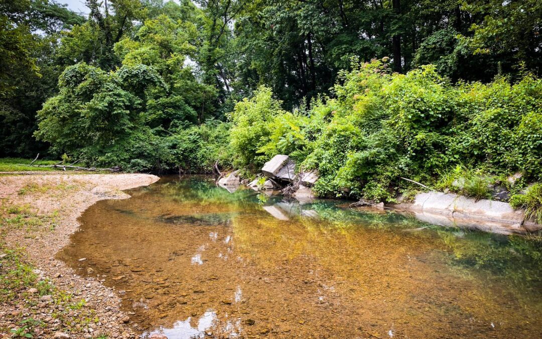 A Guide to Hutchins Creek in the Shawnee National Forest